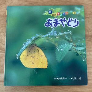 新自然きらきら あまやどり 子供 絵本