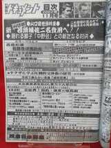 ★超激レア/入手困難★ 実話ドキュメント 2002年11月号 ～山口組 新・若頭補佐二名登用へ!!～ 眠れる獅子中野会との新たなる対決!!_画像5