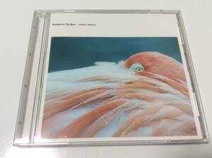 CD people in the box lovely taboos ピープル イン ザ ボックス ラブリー タブー 中古 美品