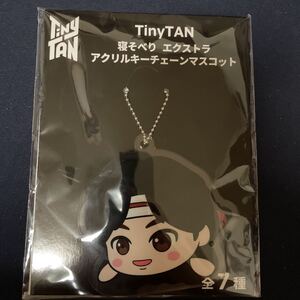 TinyTAN寝そべり エクストラアクリルキーチェーンマスコット