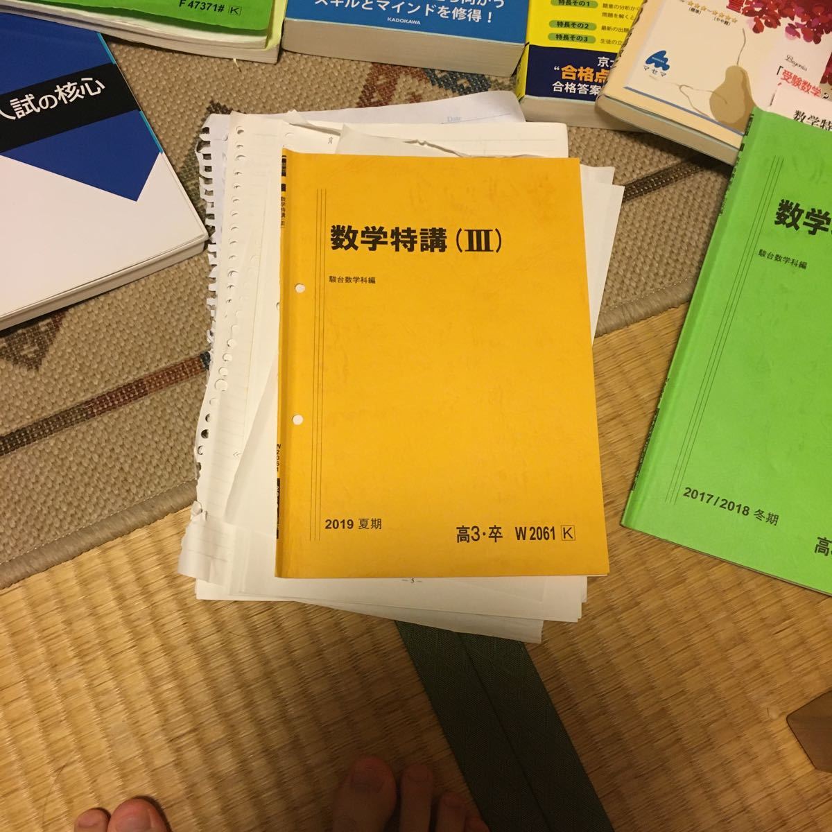 格安 鉄緑会 高2数学実戦講座 東大・京大に強くなりましょう 鉄則集