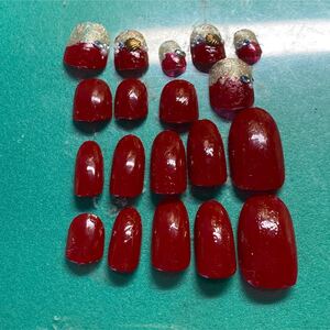 ネイルチップ 付け爪 ジェル ジェルネイル ビジュー カラーマニキュア べっ甲 ボルドー 雪の結晶 ゴールドライン