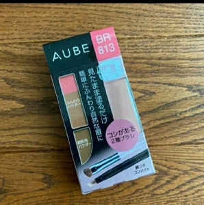 オーブ 見たまま塗るだけアイブロウコンパクトBR813