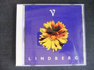 CDアルバム-3　　　LINDBERG　LINDBERG V　リンドバーグ
