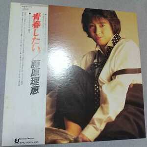 【ＬＰ】藤原理恵/青春したい。　盤面・新品同様〈プロモ盤〉