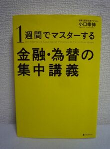 1週間でマスターする金融・為替の集中講義 ★ 小口幸伸 ◆ 市場の構造 市場参加者 取引方法 変動要因 リスク管理 キャリートレード 政策