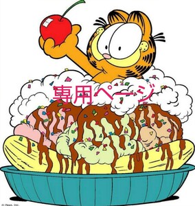 専用