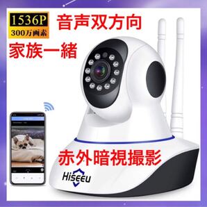 ネットワークカメラ IPカメラ 1536P 300万画素
