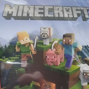 【Switch】Minecraft マインクラフト Nintendo Switch