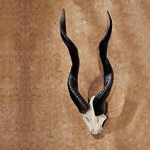 鹿の角　アフリカ壁掛け置物狩り狩猟ハンティングトロフィー剥製