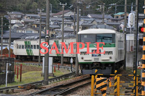 D【鉄道写真】Ｌ版2枚　185系　特急踊り子　伊豆箱根鉄道