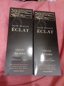 ボタニカルエアカラーフォーム ナチュラルブラック 2本