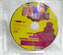 【Win】暴れん坊プリンセス　デモディスク CD‐ROM_画像1