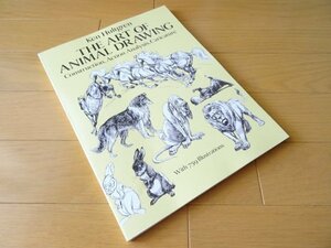 Art hand Auction الكتب الأجنبية كتاب رسم الحيوانات, تلوين, كتاب فن, مجموعة من الأعمال, كتاب فن