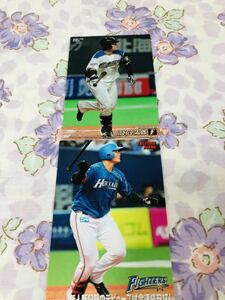 Calbie Pro Baseball Chips набор карт продажи Hokkaido Nippon -ham Fighters Kotaro Kiyomiya