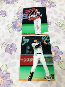 カルビープロ野球チップスカード セット売り 北海道日本ハムファイターズ 西川遥輝