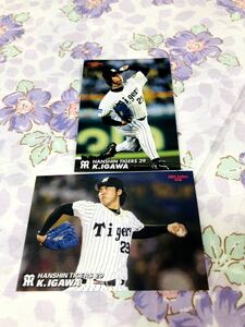 カルビープロ野球チップスカード セット売り 阪神タイガース 井川慶