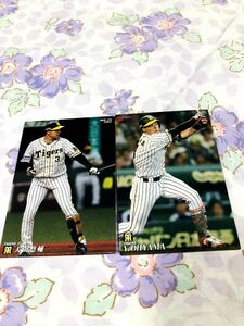 カルビープロ野球チップスカード セット売り 阪神タイガース 大山悠輔