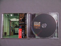 中古 CD / 邦盤 PCD-25028 / Little Joe Washington リトルジョーワシントン The Blues Reality 帯付き　見本盤_画像2