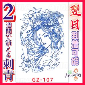 2週間で消える 107 ヘナタトゥー ジャグアタトゥーシール タトゥーシール ティントタトゥーシール ボディーアートシール タトゥー