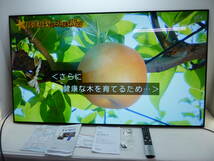 CV3081b LG 4K有機ELテレビ OLED55CXPJA 55型 2020年製 直接引取り限定 大阪・吹田インター近く_画像1