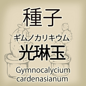 【輸入種子】ギムノカリキウム 光琳玉 Gymnocalycium cardenasianum サボテン 多肉植物 (SK103-22)