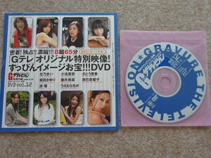 【テ‐6】 テレビジョン　付録DVD　2008　北乃きい　波留