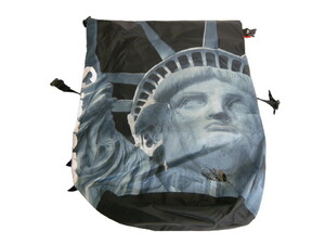 2019AW■Supremeシュプリーム/NORTH FACE Statue of Liberty Waterproof Backpack/ノースフェイス リバティー バックパック/リュックサック