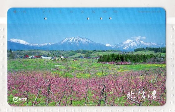 2025年最新】Yahoo!オークション -#黒姫山の中古品・新品・未 2025年最新】Yahoo!オークション -#黒姫山の中古品・新品・未