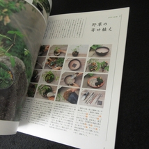 絶版本 『寄せ植えで楽しむ山野草 苔玉からミニ盆栽まで』 ■送120円　内田康男　小学館 器選び/アレンジ/栽培の基本知識○_画像3