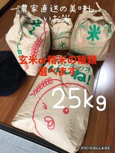 農家直送の美味しいお米 令和3年度産 ヒノヒカリ 25キロ