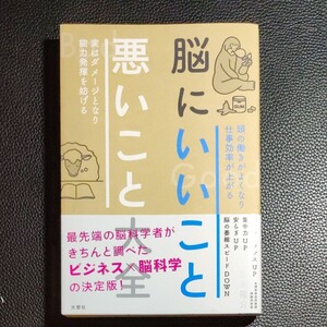 脳にいいこと悪いこと大全/柿木隆介
