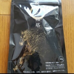 殿下の砲塔 サプリメント サプリ