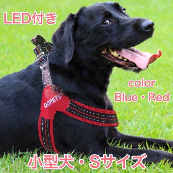 【新品】LED Light付き ソフトメッシュハーネス Sサイズ 小型犬