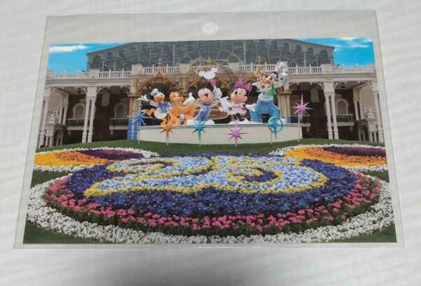 ディズニーランド25周年　エントランス　風景写真　ポストカード　ディズニー TDL ミッキーミニー TDR 