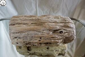 SEASIDEinterior★流木をインテリアオブジェに、Cool driftwood for decorating 28