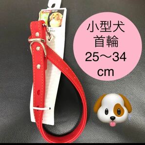 ペティオ　首輪　小型犬