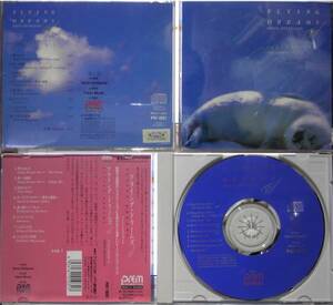 SOREN HYLDGAAD FLYING DREAMS (CD2枚 帯違い) ソーレン・ヒルドガード