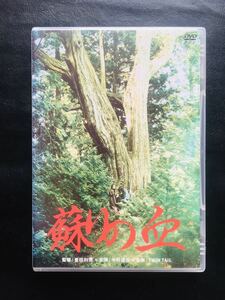 【DVD】蘇りの血 / 監督:豊田利晃,中村達也, 草刈麻有,TWIN TAIL,照井利幸,勝井祐二☆★