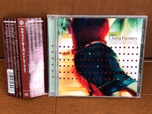 美盤 レア物 ラマ・ファーマーズ Llama Farmers 1999年 CD デッソ・レター・コーラス Dead Letter Chorus 国内盤 帯付