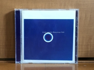 美盤 アンダーワールド Underworld 1999年 CD ボウクー・フィッシュ Beaucoup Fish 欧州盤