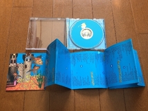 美盤 Ani DiFranco アーニー・ディフランコ 1997年 CD リトル・プラスティック・キャッスル Little Plastic Castle 欧州盤_画像4