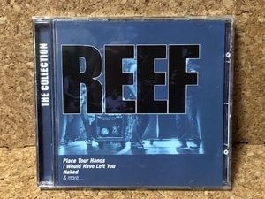  прекрасный запись leaf REEF 2009 год CD The * коллекция The Collection Europe запись 