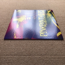 美盤 レア物 ピンクパンサーズ Pinkpanthers 1997年 LPレコード Outside Is The Real World 国内盤 Punk / New wave_画像3