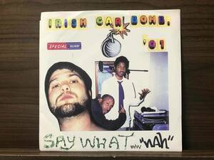 10枚落札で送料無料 // IRISH CAR BOMB / SAY WHAT // 7inch