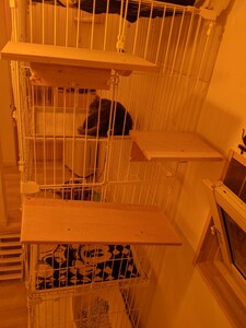 【猫カフェ】キャットステップケージ用
