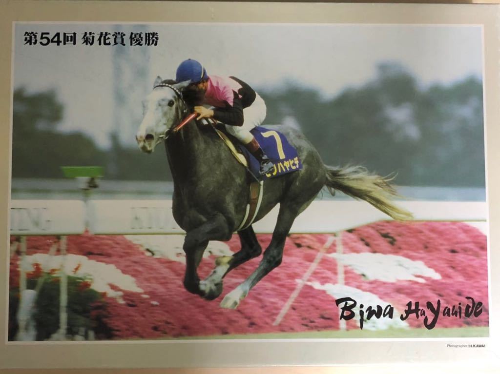 総合福袋 1000 【完成品】滝野春夫 東京シティ競馬ジグソーパズル 東京