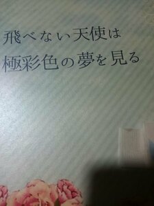 SMAP 同人誌飛べない天使は極彩色の夢を見る、木中、只野広子