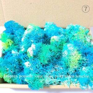 加工花材* ⑦珊瑚風 モス プリザーブドフラワー 海 ハーバリウム 花材