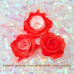 加工花材* ローズ プリザーブドフラワー 花材